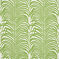 ZEBRA PALM INDOOR/OUTDOOR