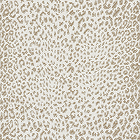 Mini Leopard Outdoor