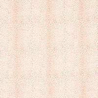 MINI LEOPARD OUTDOOR