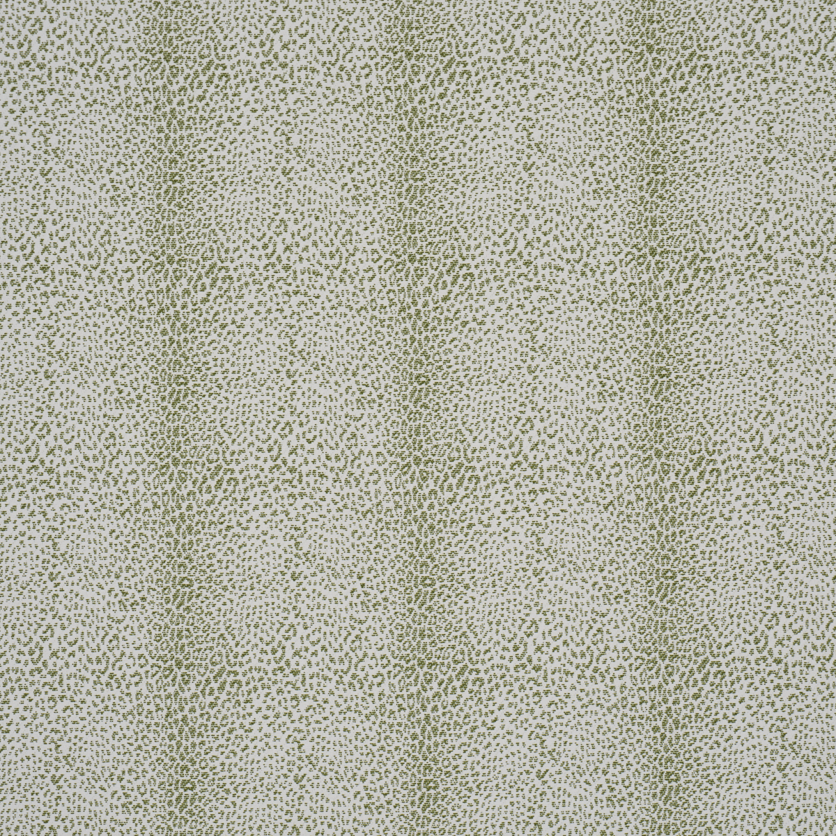 MINI LEOPARD OUTDOOR