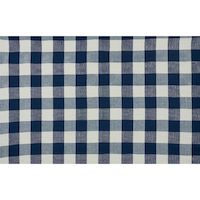 Barnes Performance Check