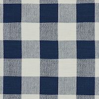 Barnes Performance Check