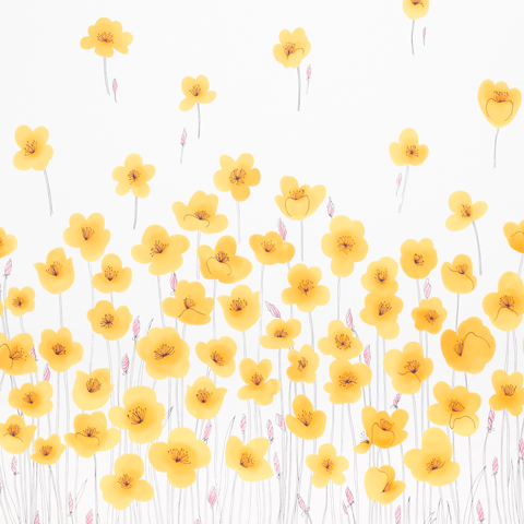 Zarzuela Stripe Embroidery