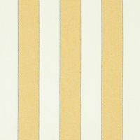 BLUMONT STRIPE INDOOR/OUTDOOR