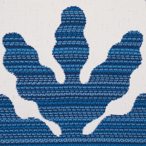 Palma Sola Indoor/Outdoor