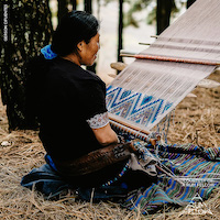 Coyolate Hand Woven Brocade