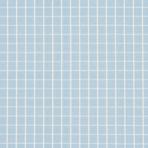 Georgie Reversible Check