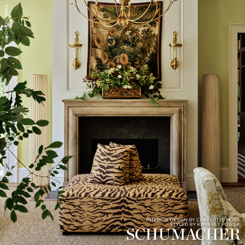 Shivalik Hills Tiger