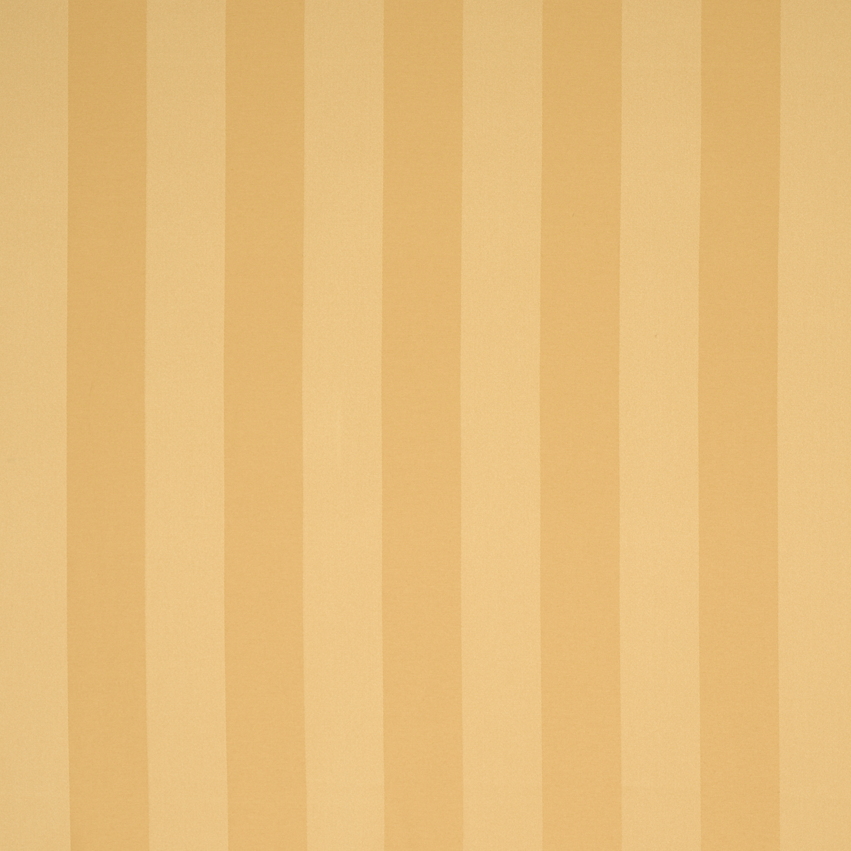 ROOSEVELT AWNING STRIPE