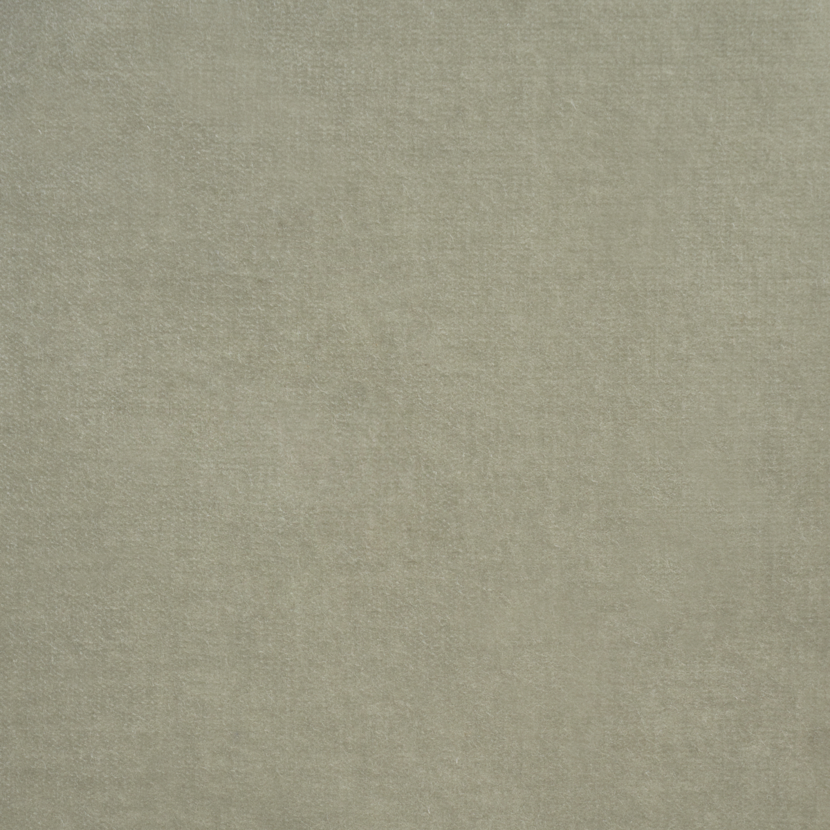 Rocky Performance Velvet