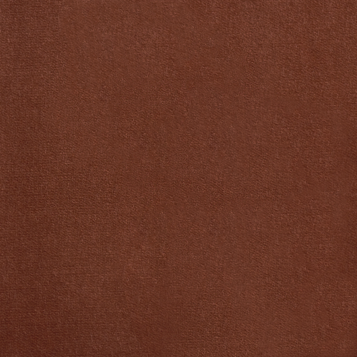 Rocky Performance Velvet