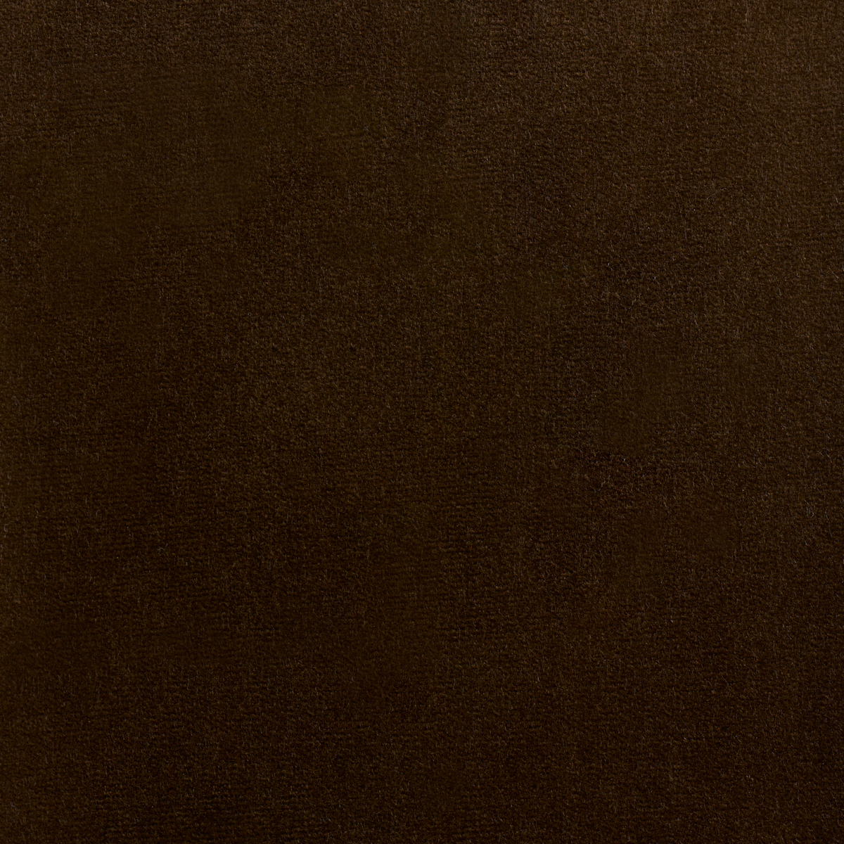 Rocky Performance Velvet