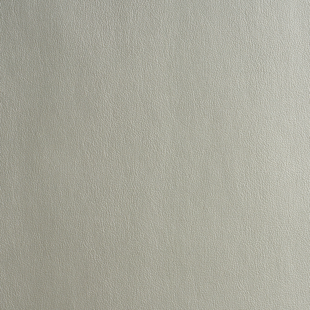 Metallic Vegan Leather Outdoor