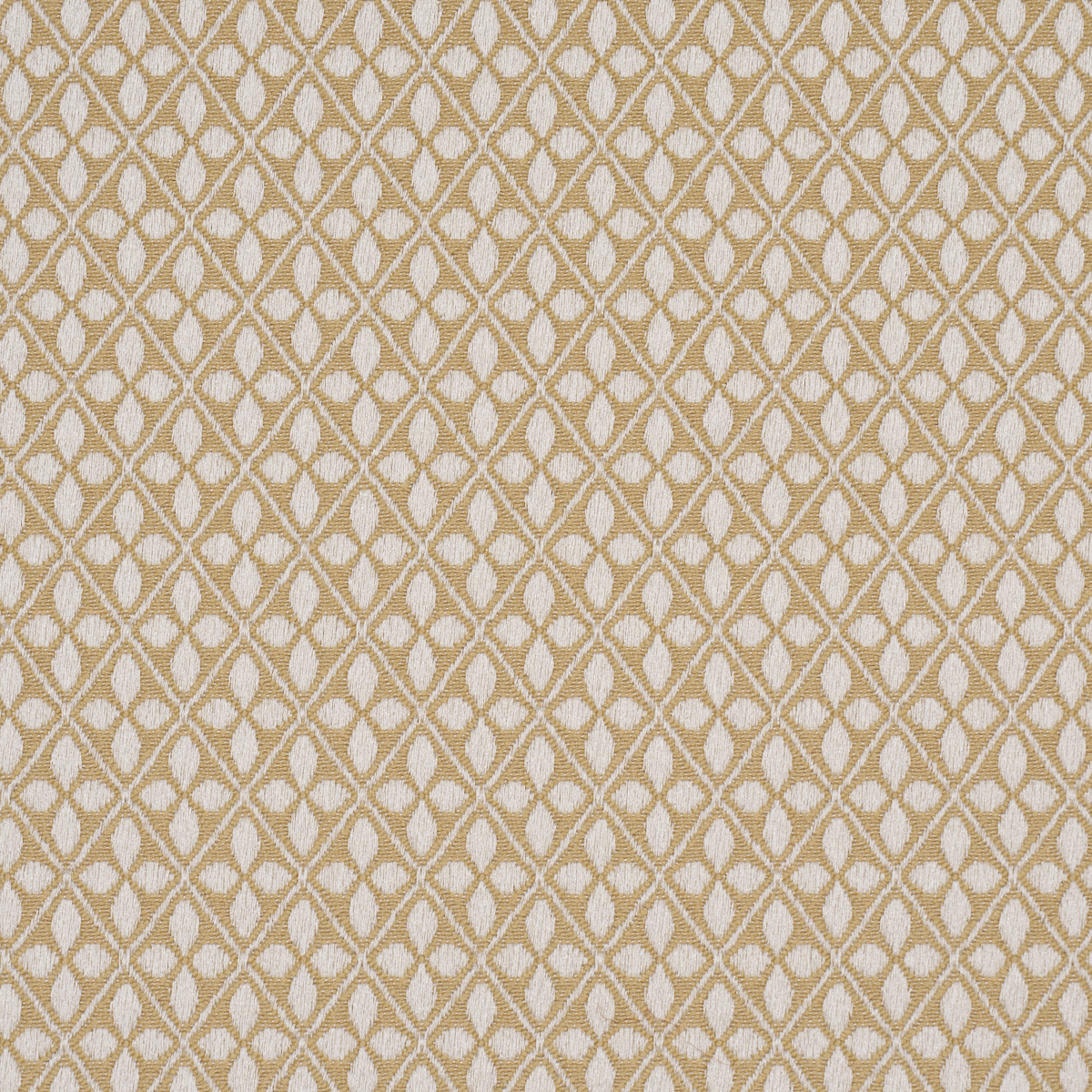 Adams Damask