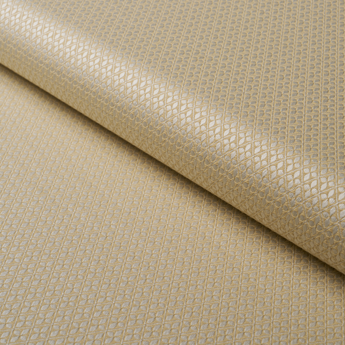 Adams Damask