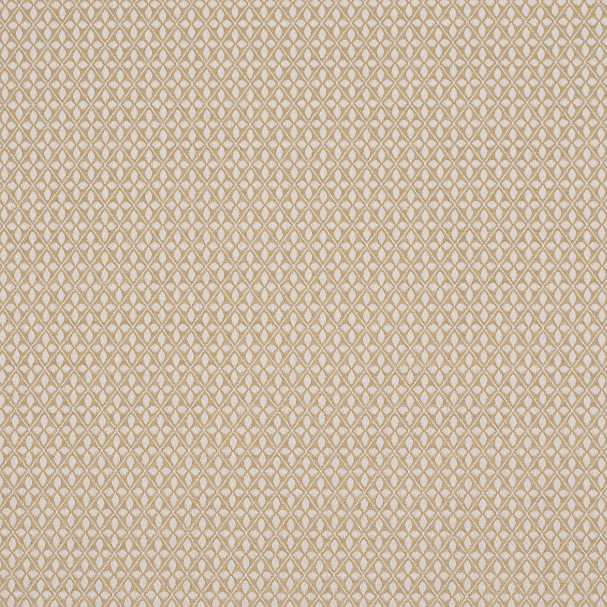 ADAMS DAMASK