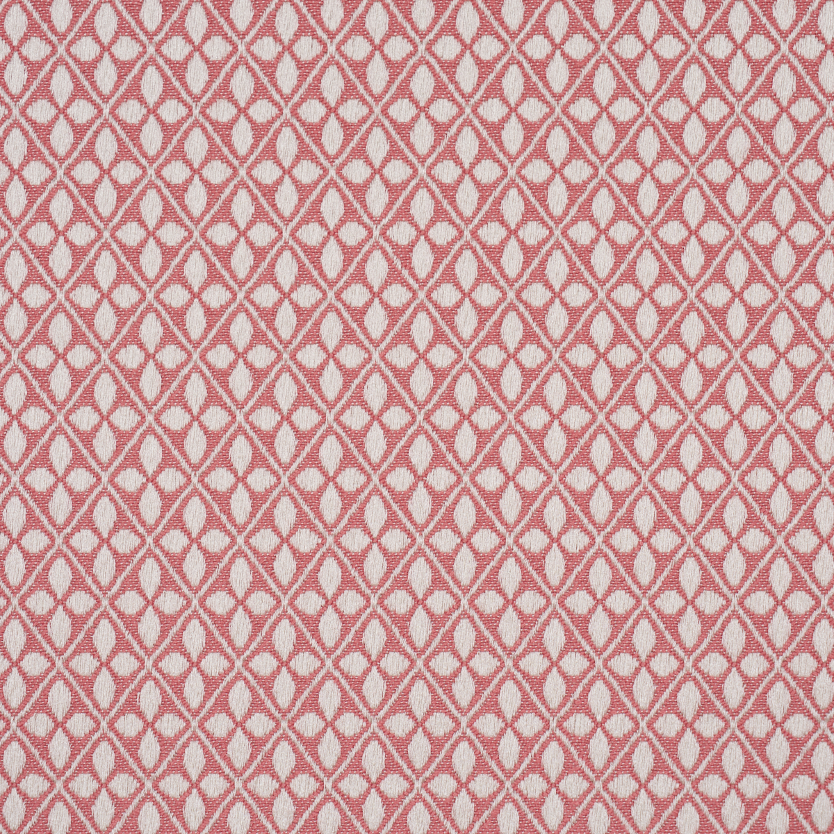 Adams Damask