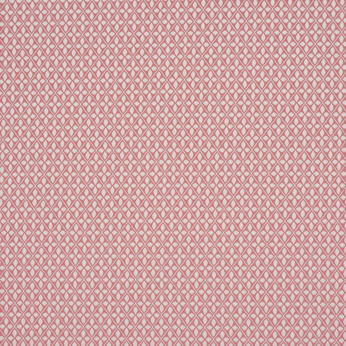 Adams Damask