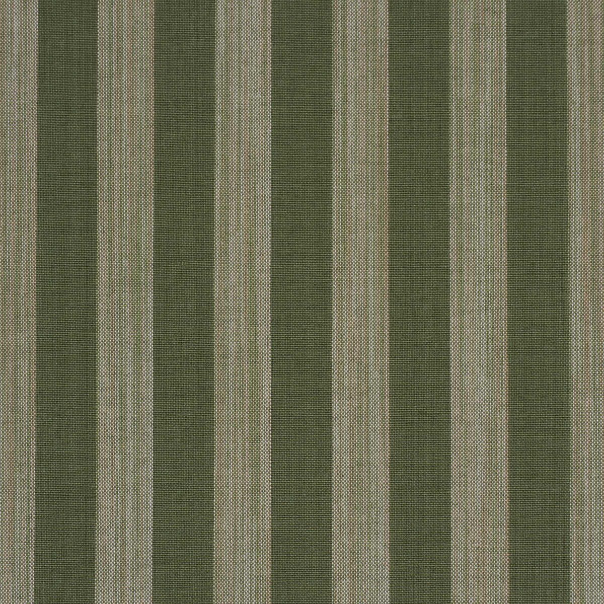 Jonah Stripe