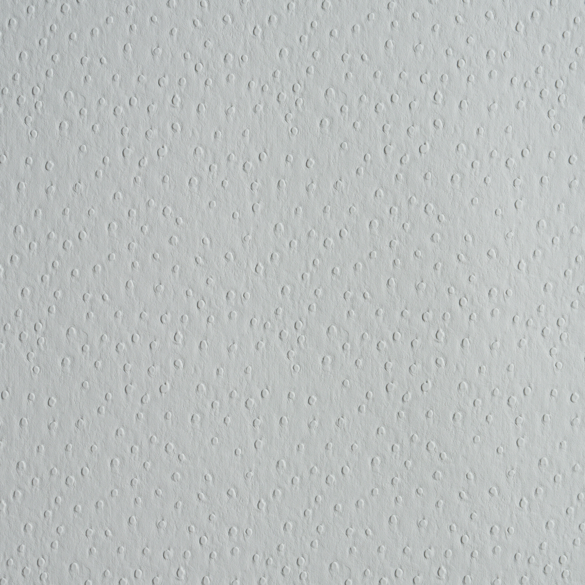 OSTRICH VEGAN LEATHER