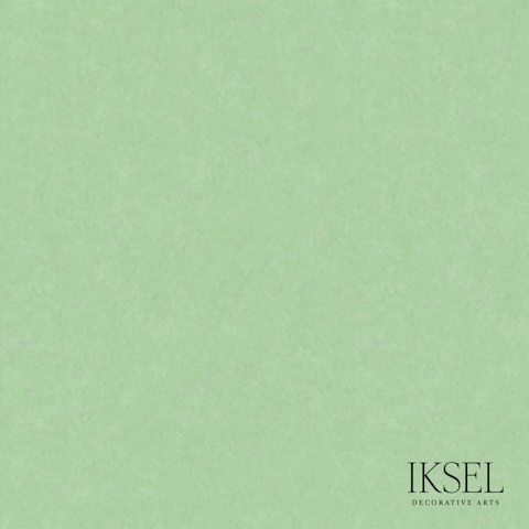 SCENIC BACKGROUND EE