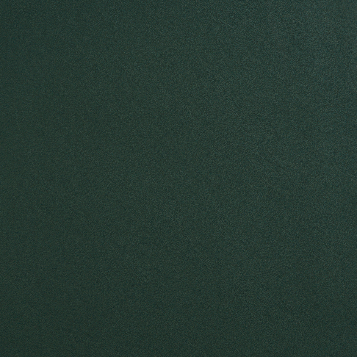 MERIBEL INDOOR/OUTDOOR