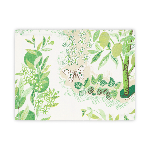 Citrus Garden Placemat, Set Of 4
