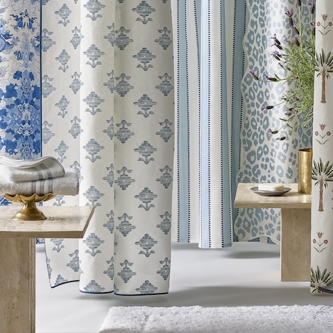 Magic Mountain Shower Curtain