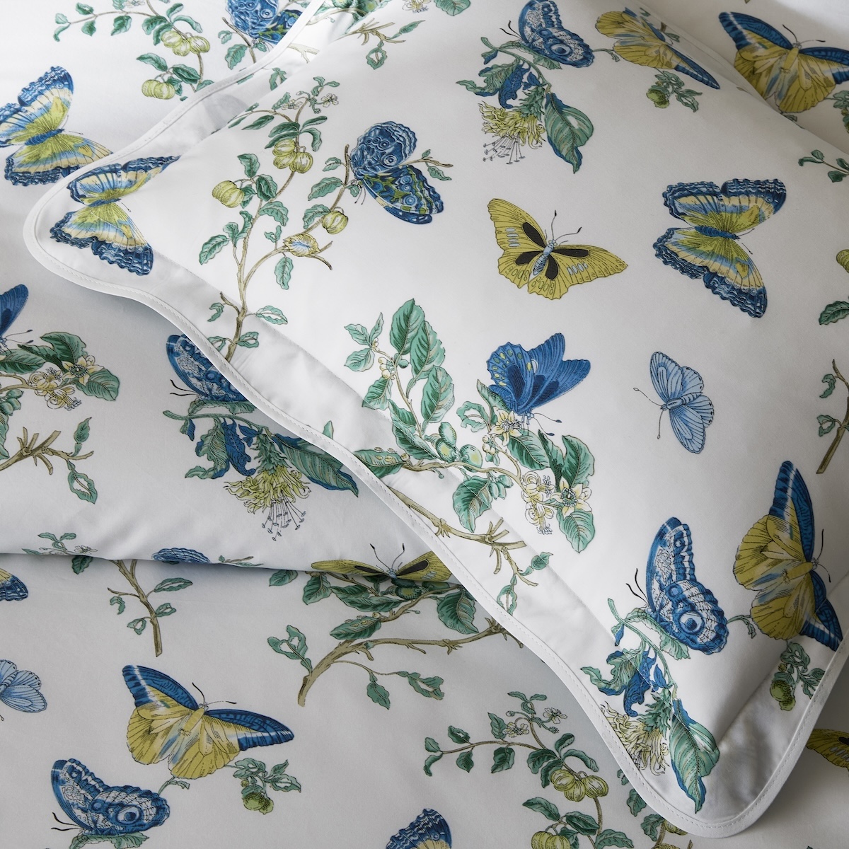 Baudin Butterfly Sham