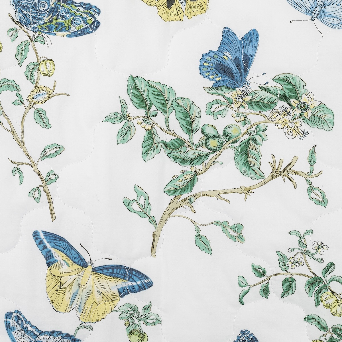 Baudin Butterfly Quilt