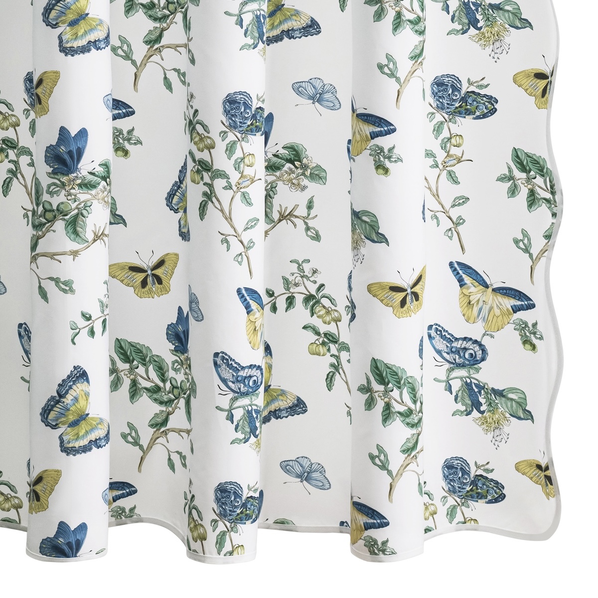 Baudin Butterfly Shower Curtain