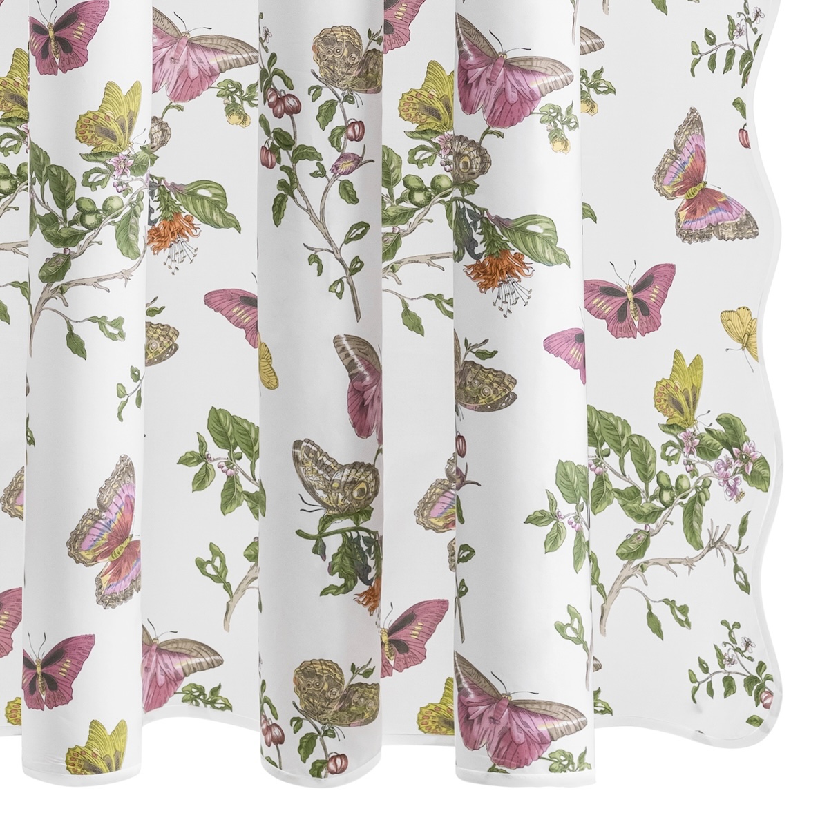 Baudin Butterfly Shower Curtain