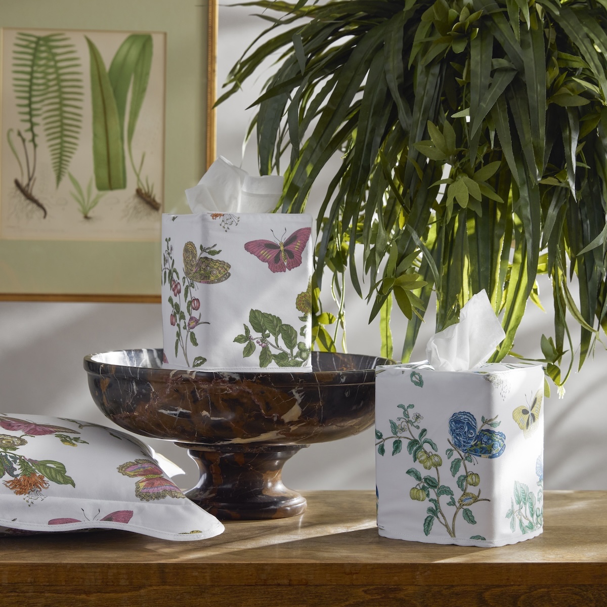 Baudin Butterfly Tissue Box Cover