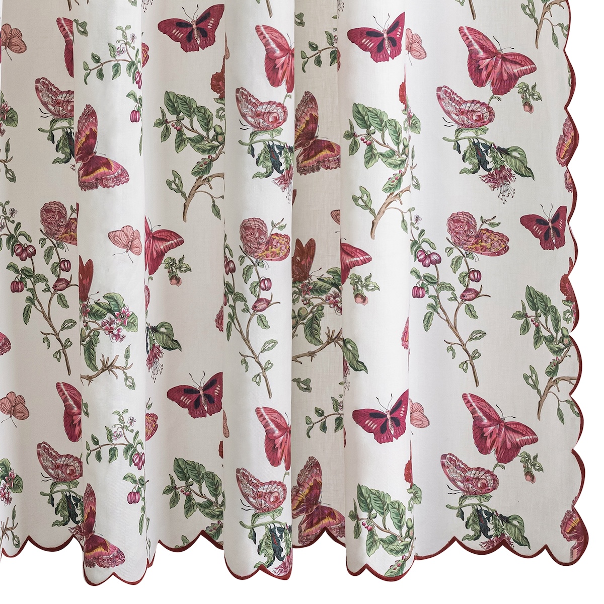 Baudin Butterfly Shower Curtain