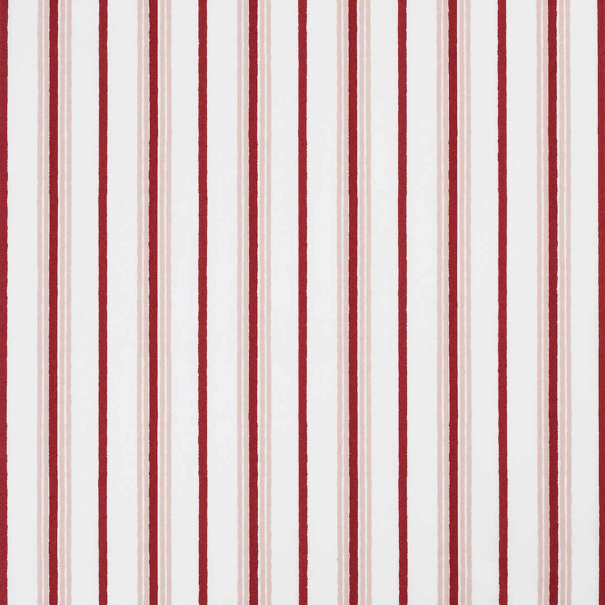 Calypso Shower Curtain