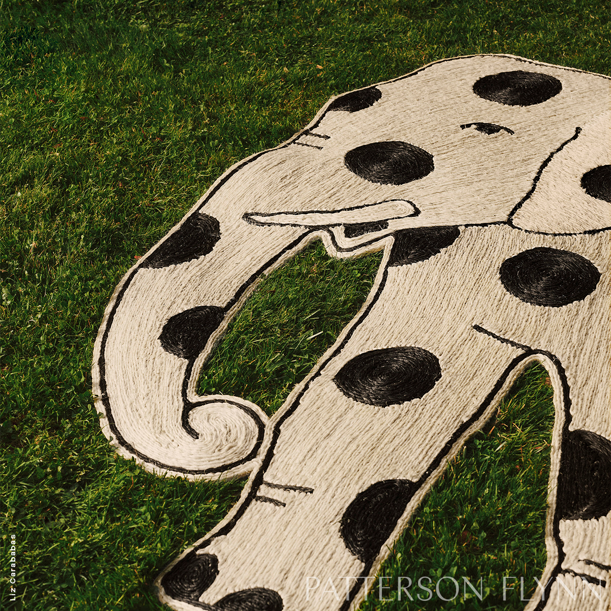 Trompa Rug