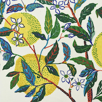 Citrus Garden Pillow