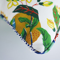 Citrus Garden I/O Pillow