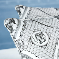 Les Scenes Contemporaine Pillow