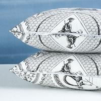 Les Scenes Contemporaine Pillow