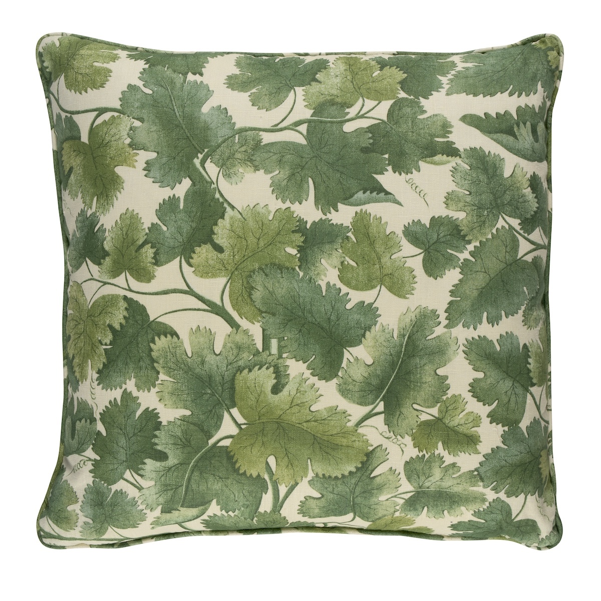 Edinburgh Vine Pillow
