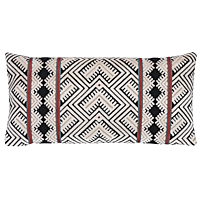 Parvin Velvet Pillow