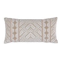 Parvin Velvet Pillow