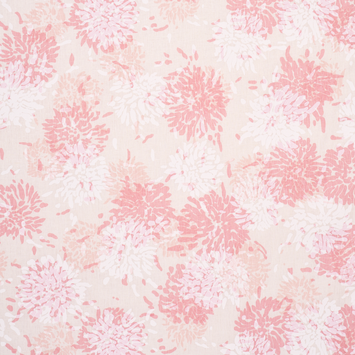 Chrysanthemum By Tillett