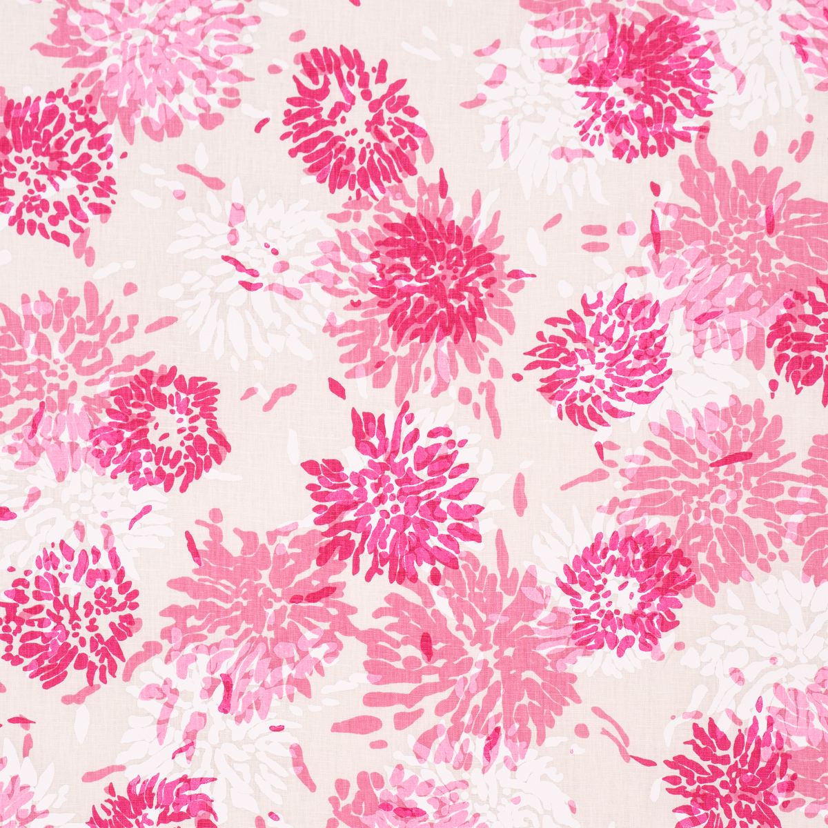 Chrysanthemum By Tillett