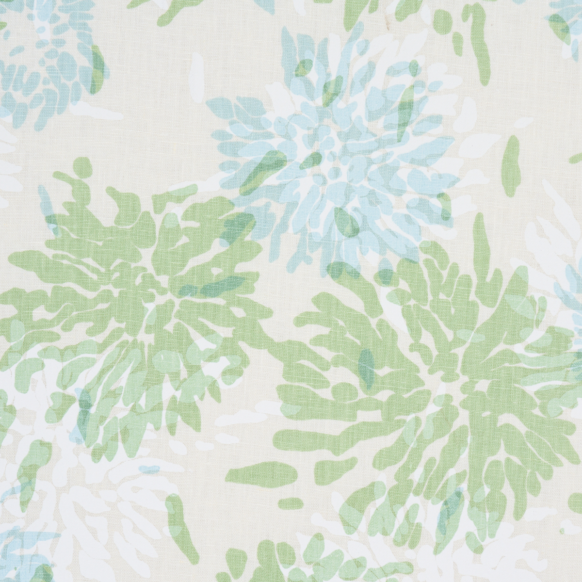 Chrysanthemum By Tillett