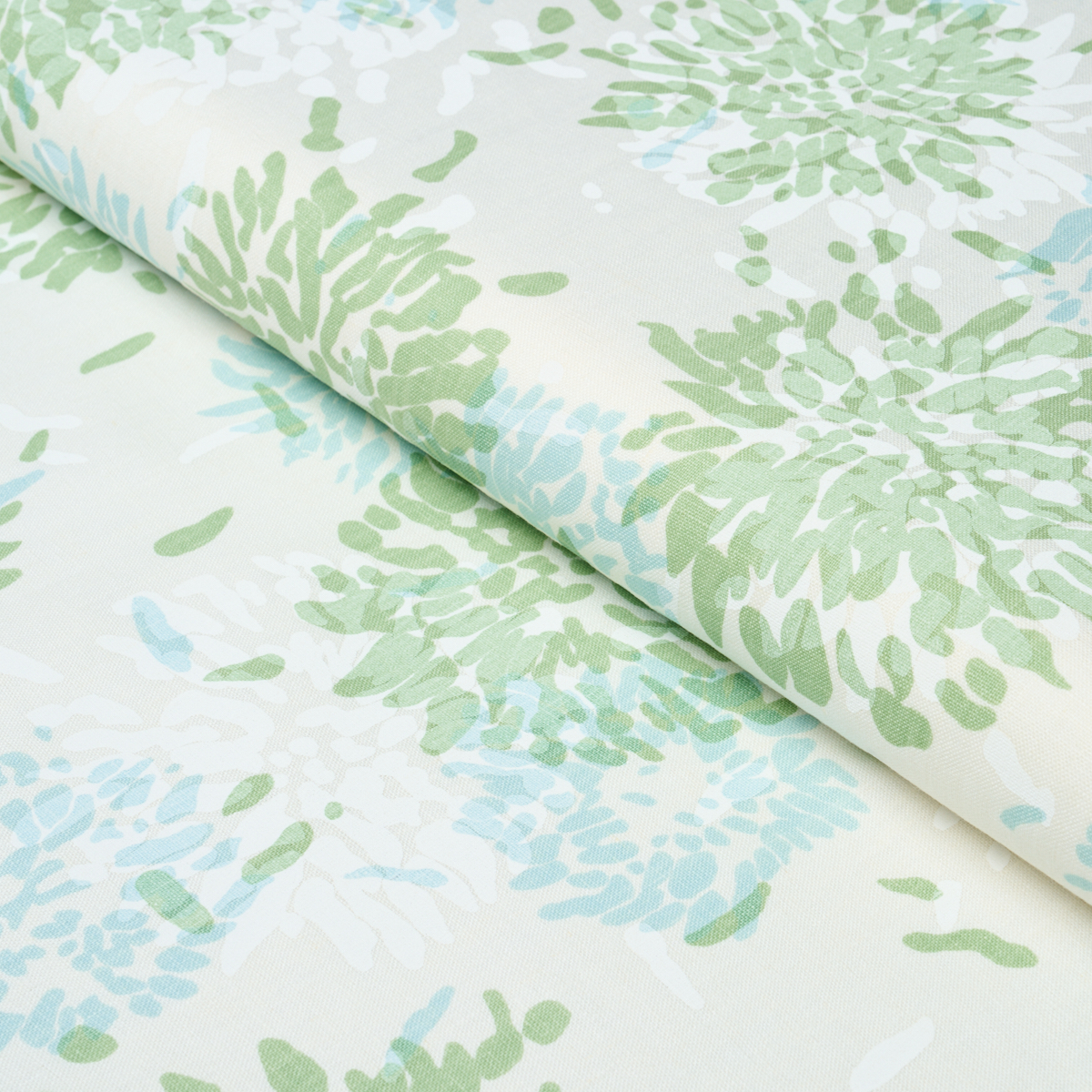 Chrysanthemum By Tillett