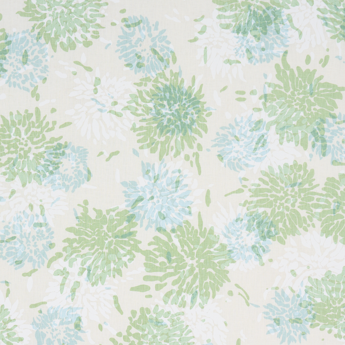 Chrysanthemum By Tillett