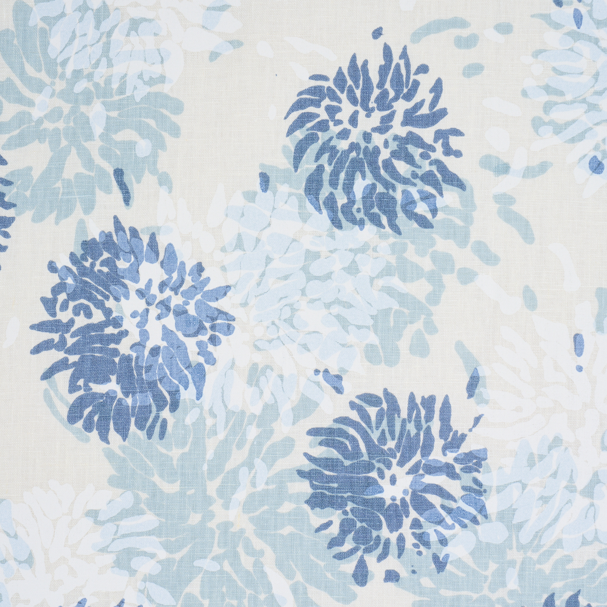 Chrysanthemum By Tillett