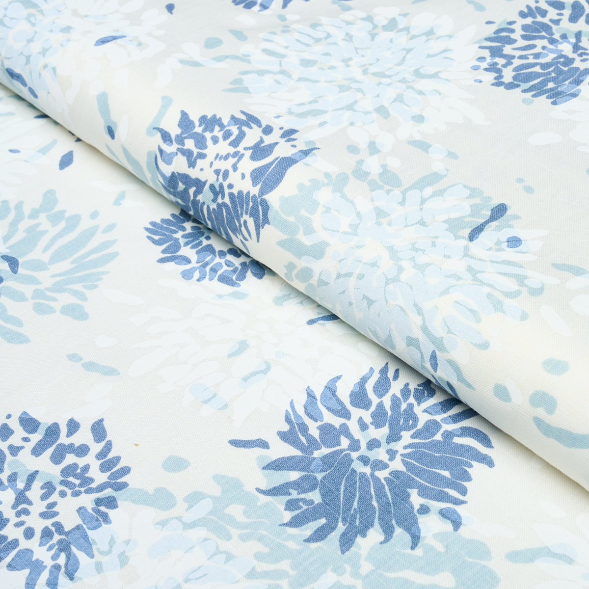 Chrysanthemum By Tillett